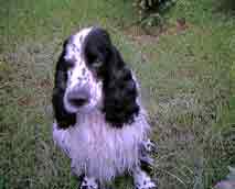 Weiteres Bild hier klicken!