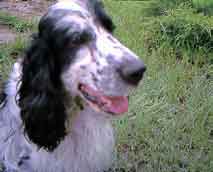 Weiteres Bild hier klicken!